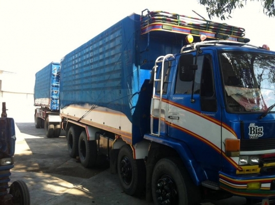 ขายร็อกกี้240 เกาะโบ แม่ลูกดั้ม สวย สวย ครับ