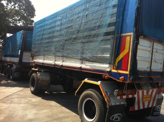 ขายร็อกกี้240 เกาะโบ แม่ลูกดั้ม สวย สวย ครับ