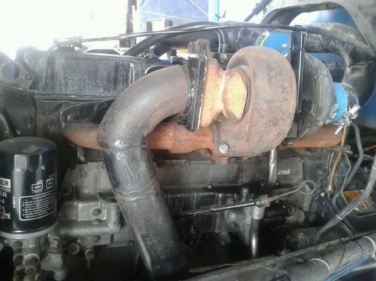 ขายร็อกกี้240 เกาะโบ แม่ลูกดั้ม สวย สวย ครับ