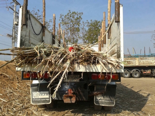 ขายพ่วงดั้มแม่-ลูก 3 คานยัด MEGA 320 ปี 48 คัสซีสวยตลอดเส้น เครื่องเดิม เกียร์ Easton แอร์เย็น ยางเต็ม ทะเบียนพร้อมโอน ราคาต่อรองได้