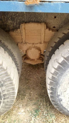 ขายด่วน!!! ไอ้หลง สภาพดีมากๆ