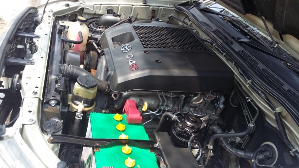 มือเดียวป้ายแดงไม่เคยชนไม่จมน้ำ มือเดียวป้ายแดงไม่เคยชนไม่จมน้ำ