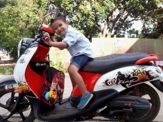 ฟีโน่ ขายถูก