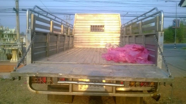 *380,000 บ.ต่อรอง///6ล้อNPR-120** ขาย ISUZU NPR-120 6ล้อบรรทุก รถห้างแท้ ปี38 NPR66LX5S 4HF1-120แรง ฝาดำ เครื่องเดิม เกียร์เดิม เครื่องดี แน่นดี แรงดี เกียร์ดี เกียร์สั้น เข้าง่าย ไม่หลุด ช่วงล่างดี แน่นดี คานหน้าเดิม 6น็อต เฟืองท้ายใหญ่ F คัสซีดี เก็บงา *380,000 บ.ต่อรอง///6ล้อNPR-120** ขาย ISUZU NPR-120 6ล้อบรรทุก รถห้างแท้ ปี38 NPR66LX5S 4HF1-120แรง ฝาดำ เครื่องเดิม เกียร์เดิม เครื่องดี แน่นดี แรงดี เกียร์ดี เกียร์สั้น เข้าง่าย ไม่หลุด ช่วงล่างดี แน่นดี คานหน้าเดิม 6น็อต เฟืองท้ายใหญ่ F คัสซีดี เก็บงา