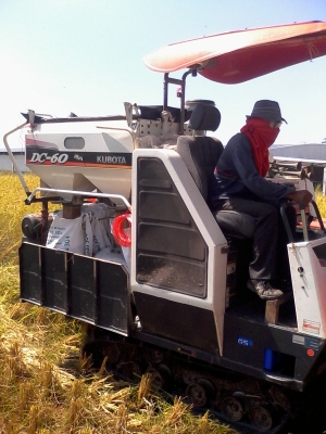 ขาย รถเกียวข้าว