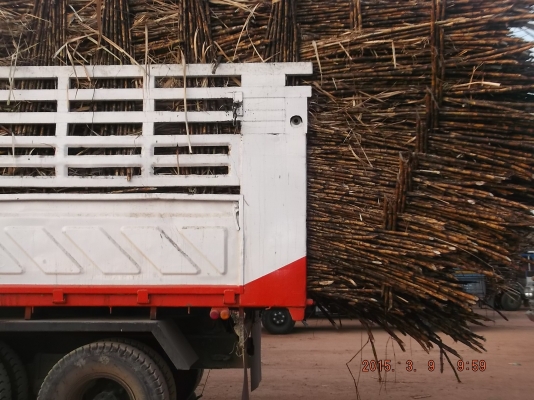 ขายรถสิบล้อสองเพลาดั้ม UD CWM430M 230แรงม้า