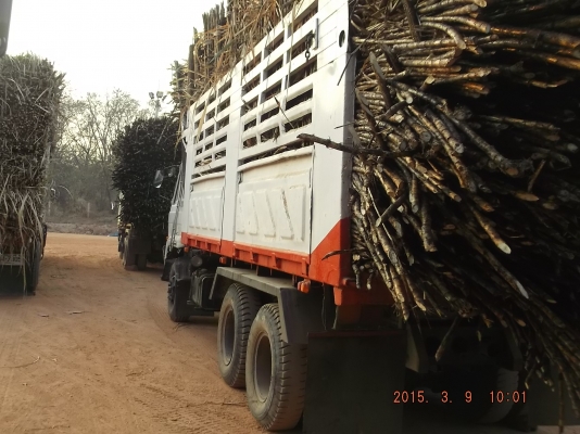 ขายรถสิบล้อสองเพลาดั้ม UD CWM430M 230แรงม้า