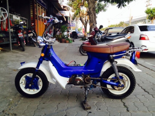 ขายชาลี ราคาถูกๆคับ