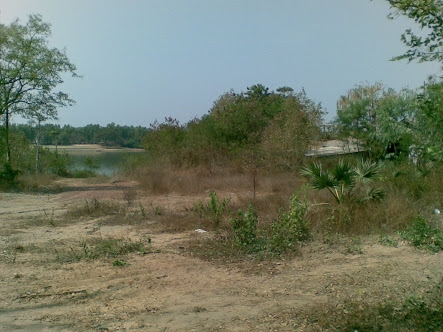 ขายด่วน