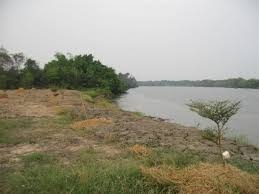 ขายด่วน