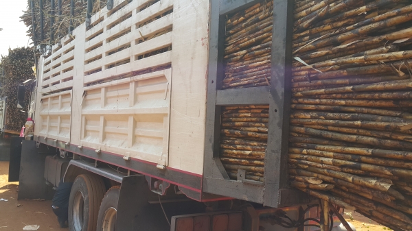 ขายรถ 10 ล้อ 2 เพลา ดั้ม กระบะเหล็ก ISUZU 360 ปี.พ-ย-53 รถ สวยวิ่งน้อย มีระบบลากลูก ราคา.2300000  ต่อรอง