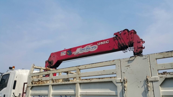 เฮียบ 5 ต้น 6ปอก