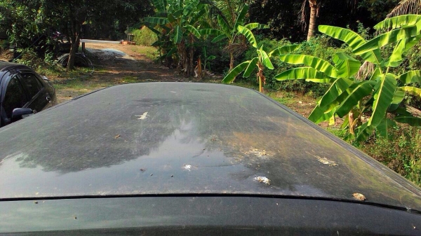 ขายรถกระบะ MITSUBISHI MMTCRK67JYD00 เครื่อง 2800 เกียร์ออโต้ ทะเบียนพร้อม ขายรถกระบะ MITSUBISHI MMTCRK67JYD00 เครื่อง 2800 เกียร์ออโต้ ทะเบียนพร้อม