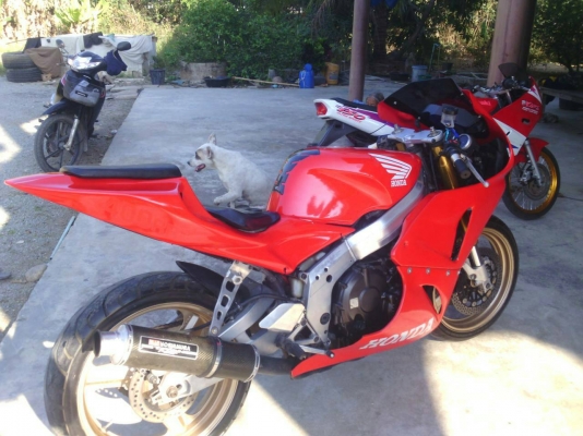 ขาย cbr 400 ปี 92 เครื่องดีมากครับ ราคาถูกๆ พร้อมใช้