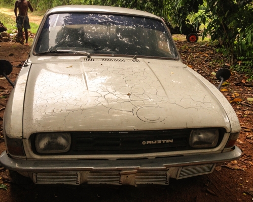 ขายออสติน ขายออสติน