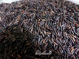 ขายข้าวไรซ์เบอร์รี่ ปลูกเองไม่มีสารเคมี สะอาด ปลอดภัย จากสารเคมี  รับประกันคุณภาพ  กินเองด้วยเลยมั่นใจ ถุงละ 80บาท ต่อกก. กินแล้วดีต่อสุขภาพ โทร 0843376760