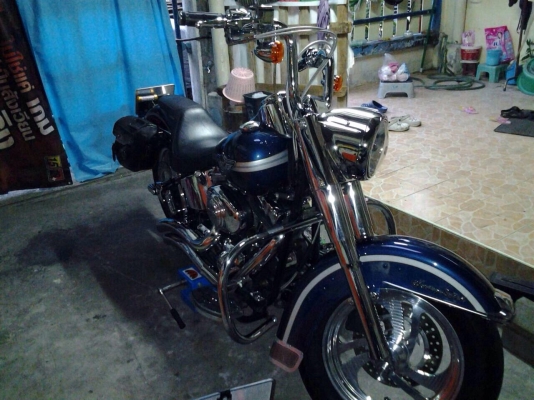 ขาย HD 100 ปี แท้ทุกจุด พร้อมออกทริ๊ป เบียนแท้