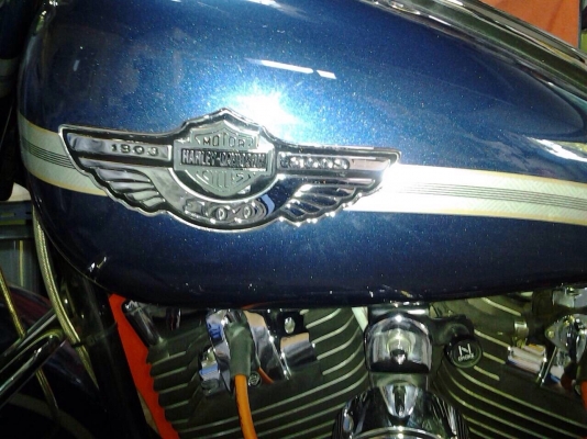 ขาย HD 100 ปี แท้ทุกจุด พร้อมออกทริ๊ป เบียนแท้