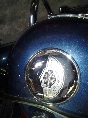 ขาย HD 100 ปี แท้ทุกจุด พร้อมออกทริ๊ป เบียนแท้