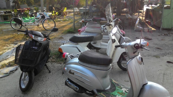 รถป๊อปประกอบใหม่สภาพดี รถป๊อปประกอบใหม่สภาพดี