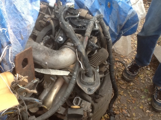 มาอีกแล้วครับของฝากนักปั้นไทเกอร์d4dปี47ตัวอีไฟฟ้าเบื่อช่างซ่อมมาแล้ว2ปียังไม่เสร็จเล่มบุคคล มาอีกแล้วครับของฝากนักปั้นไทเกอร์d4dปี47ตัวอีไฟฟ้าเบื่อช่างซ่อมมาแล้ว2ปียังไม่เสร็จเล่มบุคคล