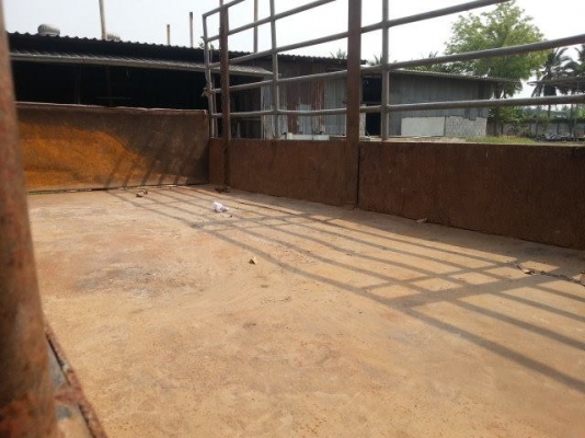 ขายด่วนหกล้อโตต้าไดน่า รถห้าง มือเดียว 115 แรง เครื่องดีคัชชีสวยมาก ยางใหม่ 6 เส้น เอกสานโอนให้เรียนร้อย