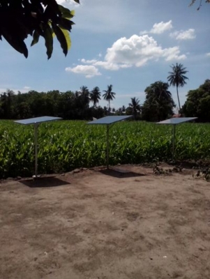 ขายแผงโซล่าเซลล์มือสองนำเข้าญี่ปุ่นยี่ห้อ SHARP คุณภาพสูง ราคาถูก ขายแผงโซล่าเซลล์มือสองนำเข้าญี่ปุ่นยี่ห้อ SHARP คุณภาพสูง ราคาถูก