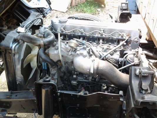 ขาย6ล้อISUZU NKR 120ฝาขาว ปี42 รถห้างแท้ ขาย6ล้อISUZU NKR 120ฝาขาว ปี42 รถห้างแท้