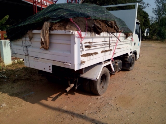 ขายรถดั้มNKR66.   เครื่อง120ฝาขาวรถสวยพร้อใช้งาน รถนอกยังไม่จดทะเบียนในไทย