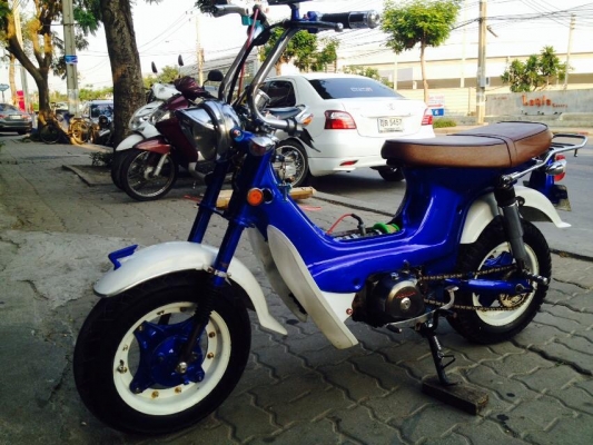 ขายชาลี ราคาถูกๆคับ