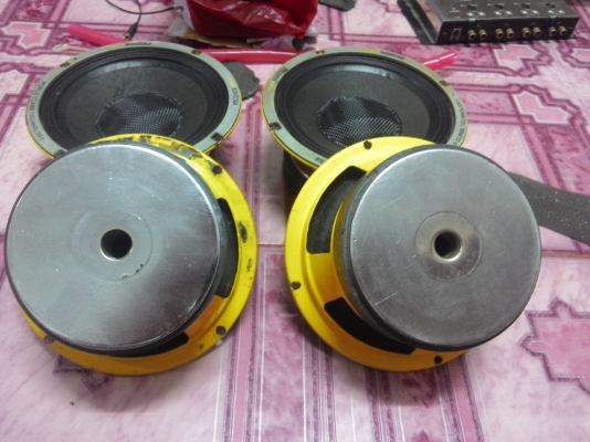 ขายคับ 6 นิ้วท๊อปพ้อย4ดอก หน้าเครฟบ้ราครับ