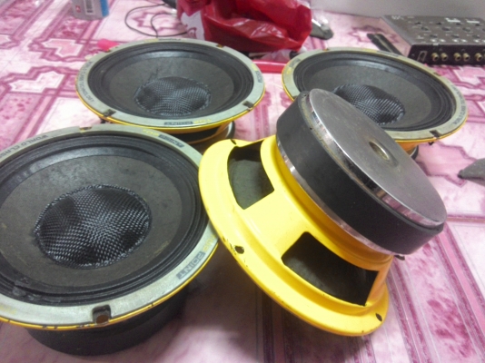 ขายคับ 6 นิ้วท๊อปพ้อย4ดอก หน้าเครฟบ้ราครับ