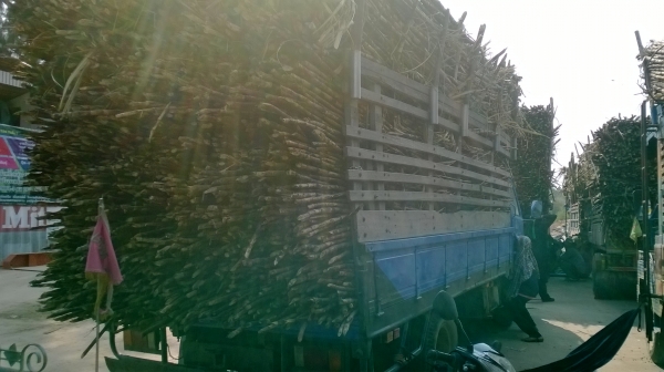 NPR 115 แรง รถดีราคาไม่แพง โทร 081 074 5778 ลุงโหนกรับสาย