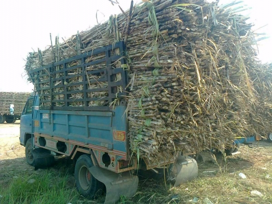 ISUZU NPR 145 HP 6BB1 ปลายปี 38 หกล้อดั๊มพ์ กระบะดั๊มพ์เหล็ก 4 ตันยาว 3.50 เมตร เครื่องแน่นแรงดีลงเล่มครบถูกต้อง ภายในเก๋งคอนโซลครบพร้อม เกียร์ร็อก พวงมาลัยเพาเวอร์ ช่วงล่างใหญ่ติด F หน้า F หลังครบ คัชซีสวย ยาง 8.25 ขอบ 16 สภาพดีพร้อมใช้งาน เอกสารเล่มทะเบ ISUZU NPR 145 HP 6BB1 ปลายปี 38 หกล้อดั๊มพ์ กระบะดั๊มพ์เหล็ก 4 ตันยาว 3.50 เมตร เครื่องแน่นแรงดีลงเล่มครบถูกต้อง ภายในเก๋งคอนโซลครบพร้อม เกียร์ร็อก พวงมาลัยเพาเวอร์ ช่วงล่างใหญ่ติด F หน้า F หลังครบ คัชซีสวย ยาง 8.25 ขอบ 16 สภาพดีพร้อมใช้งาน เอกสารเล่มทะเบ