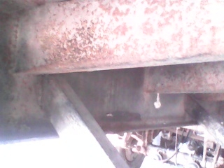 ขายลูกเทลเลอร์