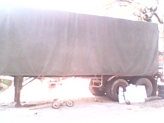 ขายลูกเทลเลอร์