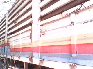 ขายลูกเทลเลอร์