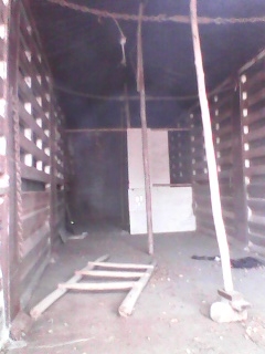 ขายลูกเทลเลอร์