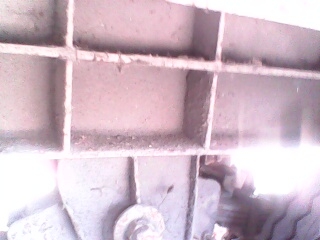 ขายลูกเทลเลอร์