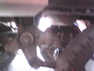 ขายลูกเทลเลอร์