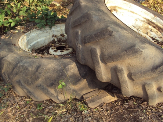 ขายกระทะล้อรถไถฟอร์ด ขอบ 38 เดิมๆติดรถมา