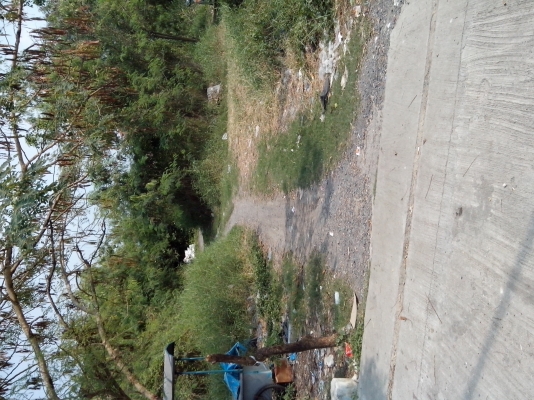 ขายที่ดินเปล่า อยู่ นนทบุรี ปากเกร็ด 43 ต.ร.ว.300,000 บาท