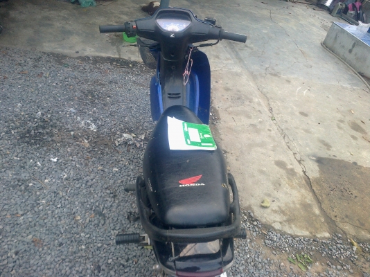 ลุงทุม หัวเขา   ติดต่อ 086  764   5698