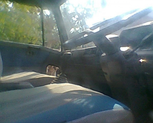 รถดัมพ์