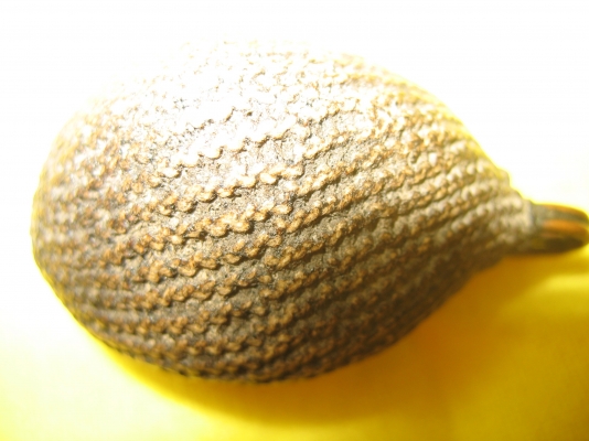 เบี้ยแก้หลวงปู่รอดวัดนายโรงราคา