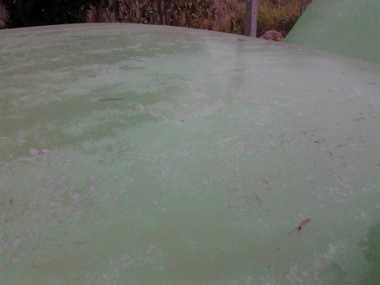 ***ขายแล้วครับขอบคุณ Truck2hand ขาย กระบะตอนเดียว ISUZU KB เครื่องดีเซล2200 แห้งๆ ช่วงล่างดีไม่ส่าย คัสซีสวย กระบะมีผุนิดหน่อย ภายในดี คอนโซลครบ พื้นเก๋งไม่ผุ เบาะมีขาด สีมีแตก พร้อมใช้ พร้อมลุยงาน เข้าสวนเข้าไร่ ราคาต่อรองได้ครับ