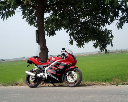 ขายhonda CBR250R MC19 ทะเบียน 50000 ขายhonda CBR250R MC19 ทะเบียน 50000