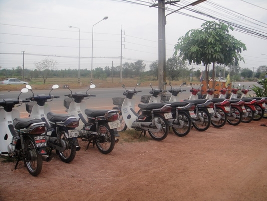 ขายฮอนด้าดรีม คุรุสภา สภาพสวยพร้อมใช้งาน (ทะเบียนพร้อมชุดโอน ) ล็อตใหม่มาแล้ว 35 คัน