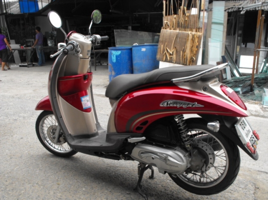ขาย Scoopies I ปี 53