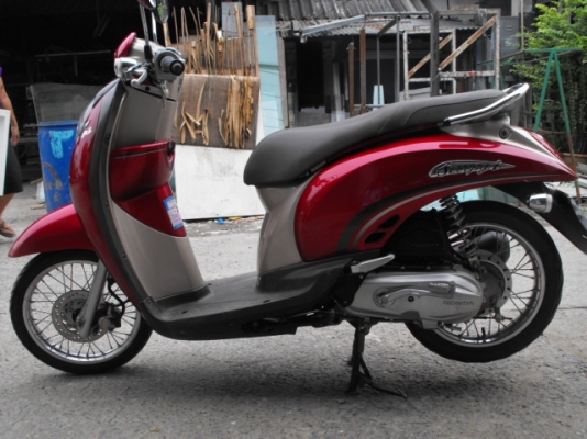 ขาย Scoopies I ปี 53